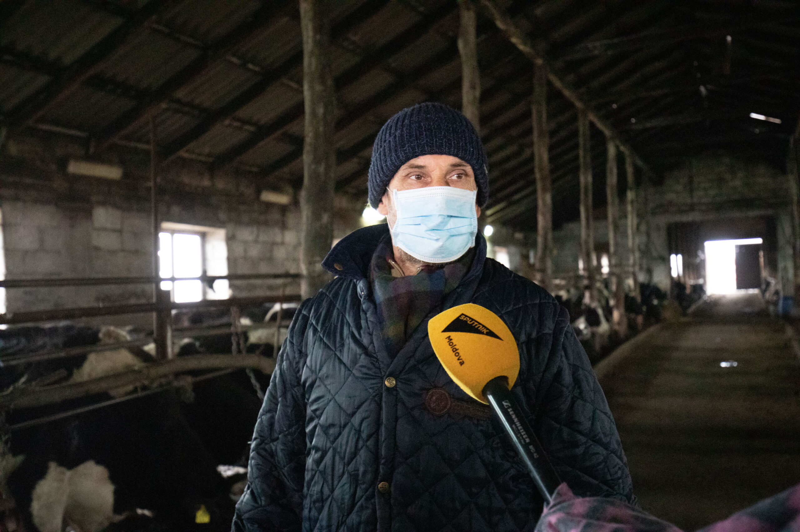 Valeriu Șivcișin, producător de lapte din Valea Rădoaiei, raionul Florești