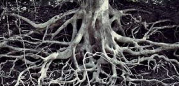 images-725x350-3