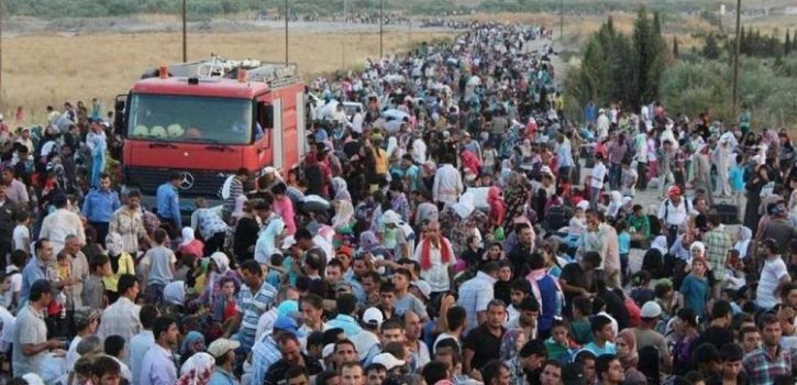 imigranti-xpy7cjt540-1-1000x600-725x350-1